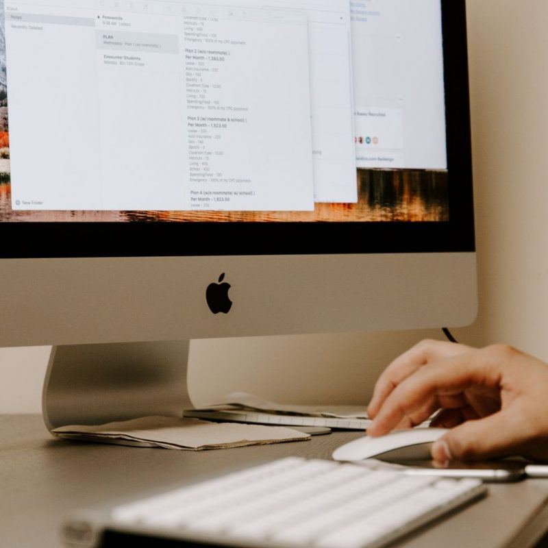 seo specialist
