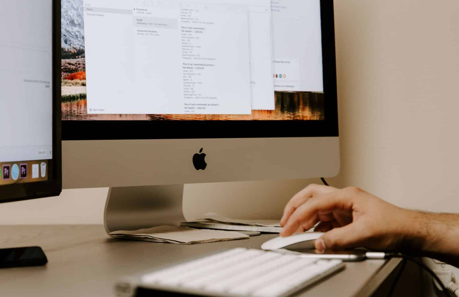 seo specialist