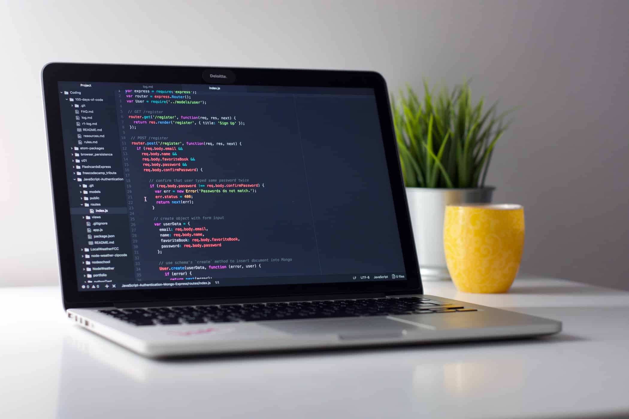 professionele website laten maken
