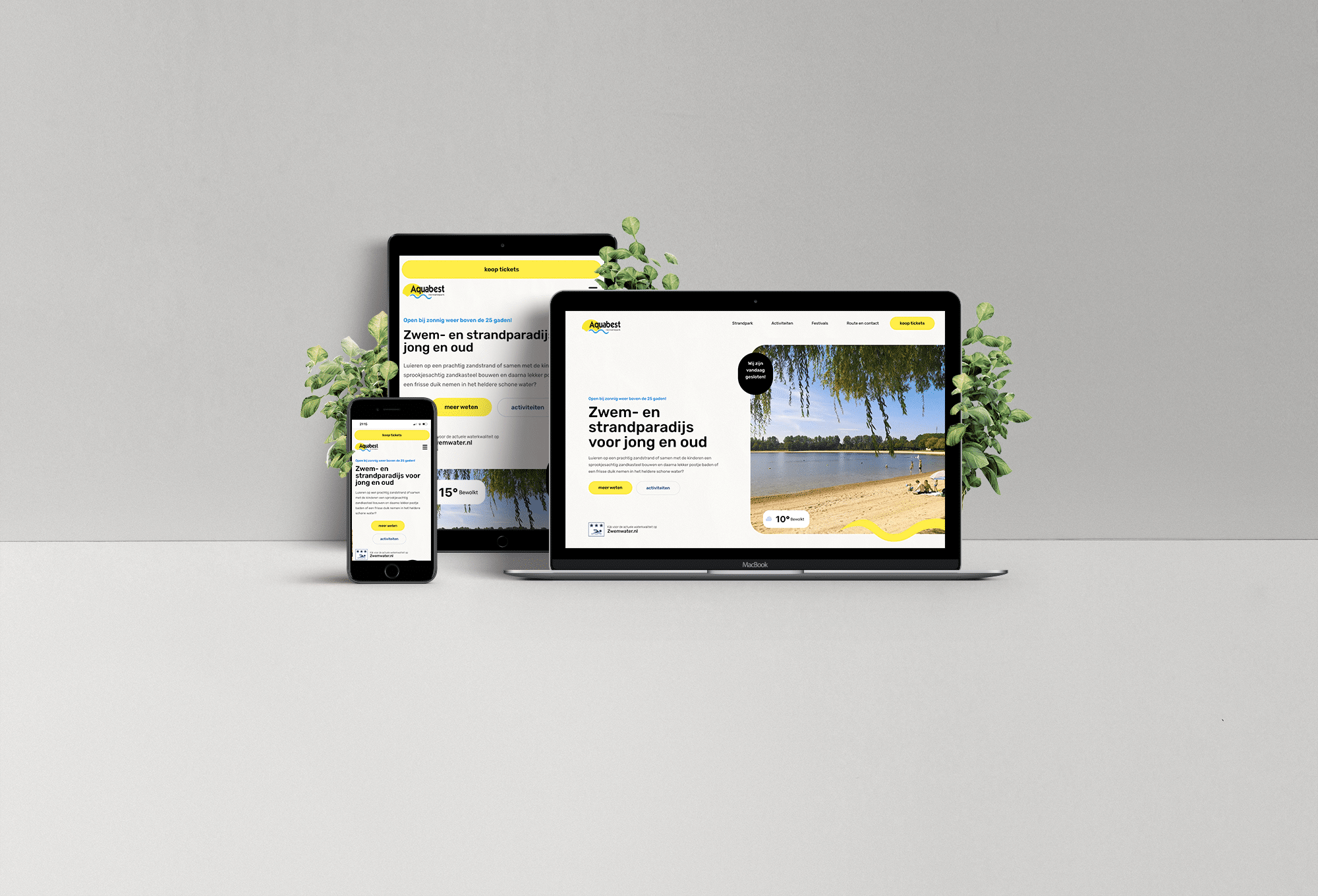 Web Showcase Project Presentation@1,25x
