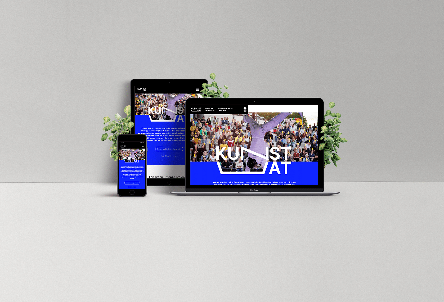 Web Showcase Project Presentation@1,25x