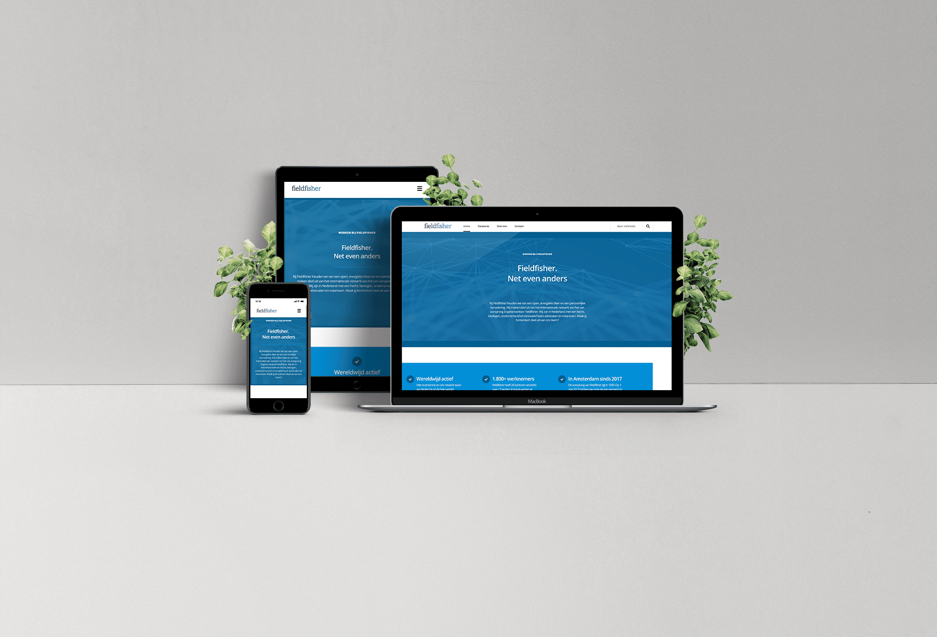 Web Showcase Project Presentation@1,25x