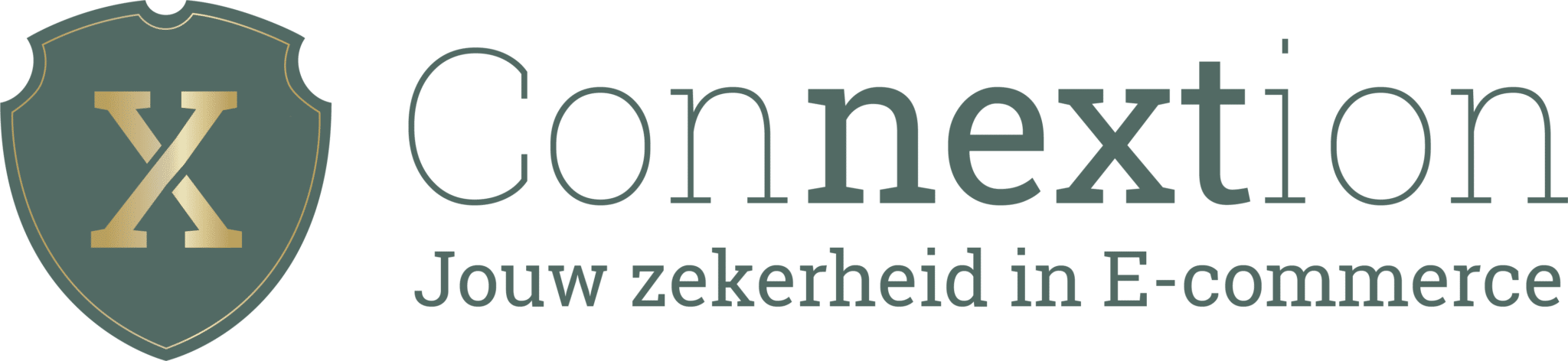 Monkey Vision - connextion logo