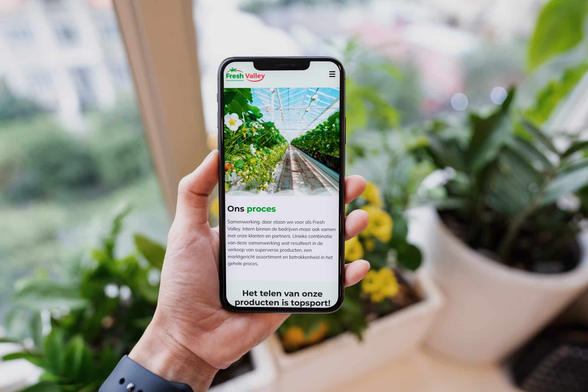 Fresh Valley  iPhone  page proces