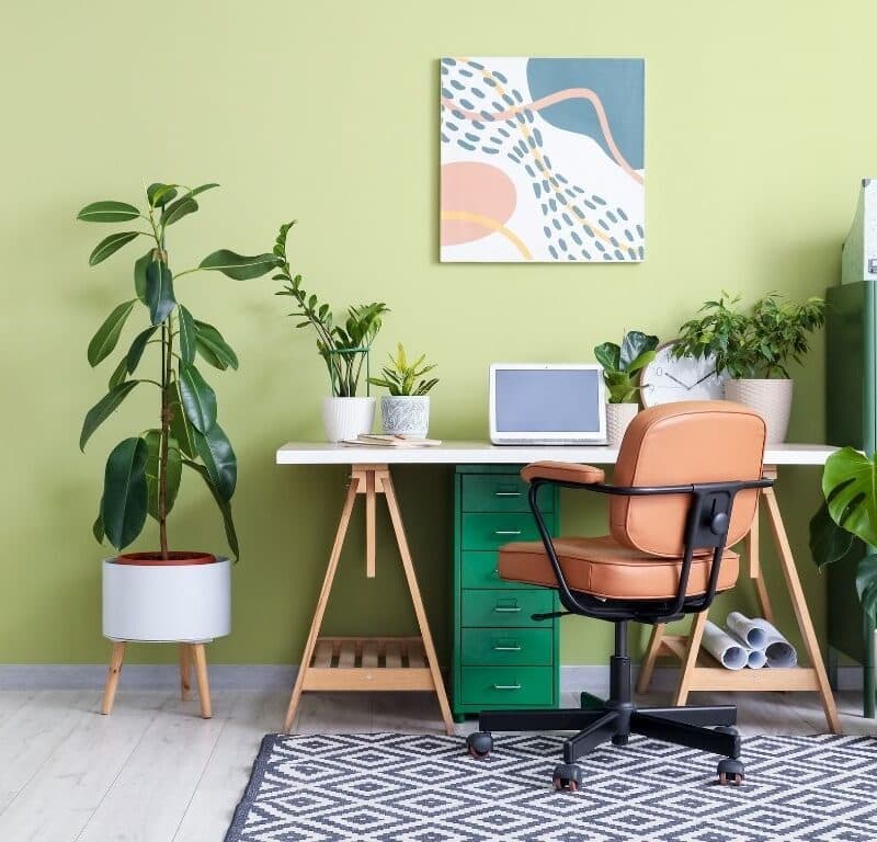 webdesign huisstijl