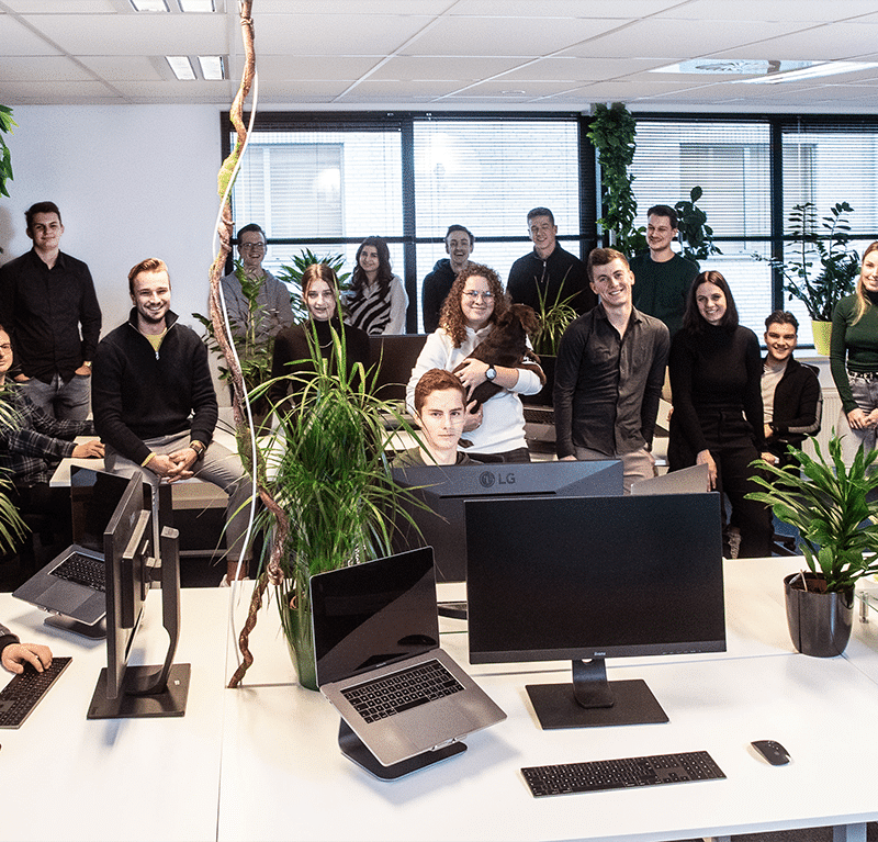 monkey vision website bureau in nijmegen